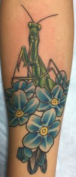 Mantis in flowers 