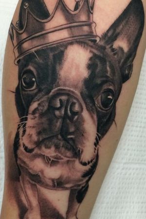 #megandreamtattooI would want this but of my own fur baby. Plus Megan's touch on it. 