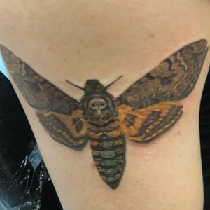 First Tattoo; Death’s Head Hawk Moth. #moth #deathheadhawkmoth #photorealism