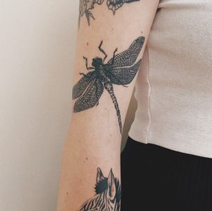 #dragonfly #dragonflytattoo #doting #tattooart #dots #dotwork #dotworktattoo #girlswithtattoo #inkedgirls #blackboldsociety #blxckink #oldlines #tattoosandflash #darkartists #topclasstattooing #inked #inkedgirls #inkedup #minimal #minimalism #stattoo #smalltattoo