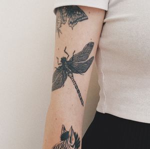 #dragonfly #dragonflytattoo #doting #dotwork #tattooart #dotworktattoo #girlswithtattoo #inkedgirls #blackboldsociety #blxckink #oldlines #tattoosandflash #darkartists #topclasstattooing #inked #inkedgirls #inkedup #minimal #minimalism #stattoo #smalltattoo