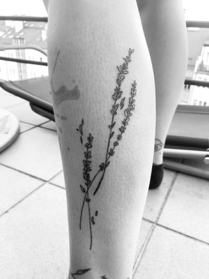 Love the smell of fresh lavender. On your leg. Handpoked!