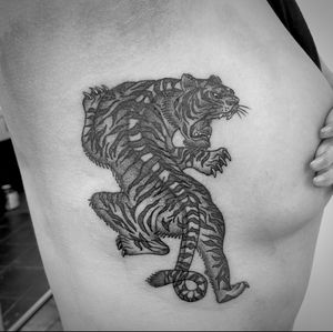 Tiger tattoo! #traditional #stippling #tiger