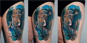 watercolor style elephant done in 2 sessions
