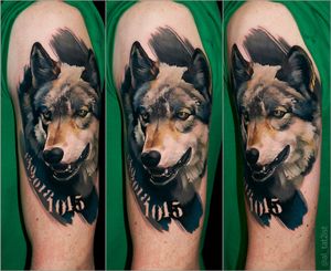 one session wolf