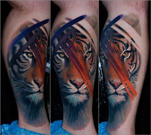 2 sessions tiger
