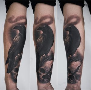 crow and skull, one session