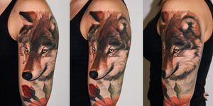 one session wolfie