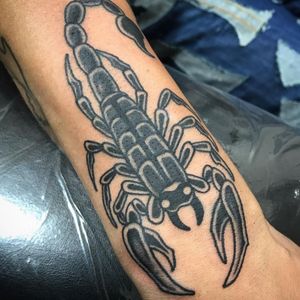 Scorpion Tattoo! Hoping to build a half sleeve soon!