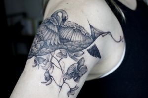 𝙄𝙂: 𝙣𝙖𝙩𝙚_𝙩𝙝𝙖𝙞𝙡𝙖𝙣𝙙 🌿 Blackwork realistic swan tattoo with abstract art and orchid flowers by a tattoo artist in Chiang Mai, Thailand