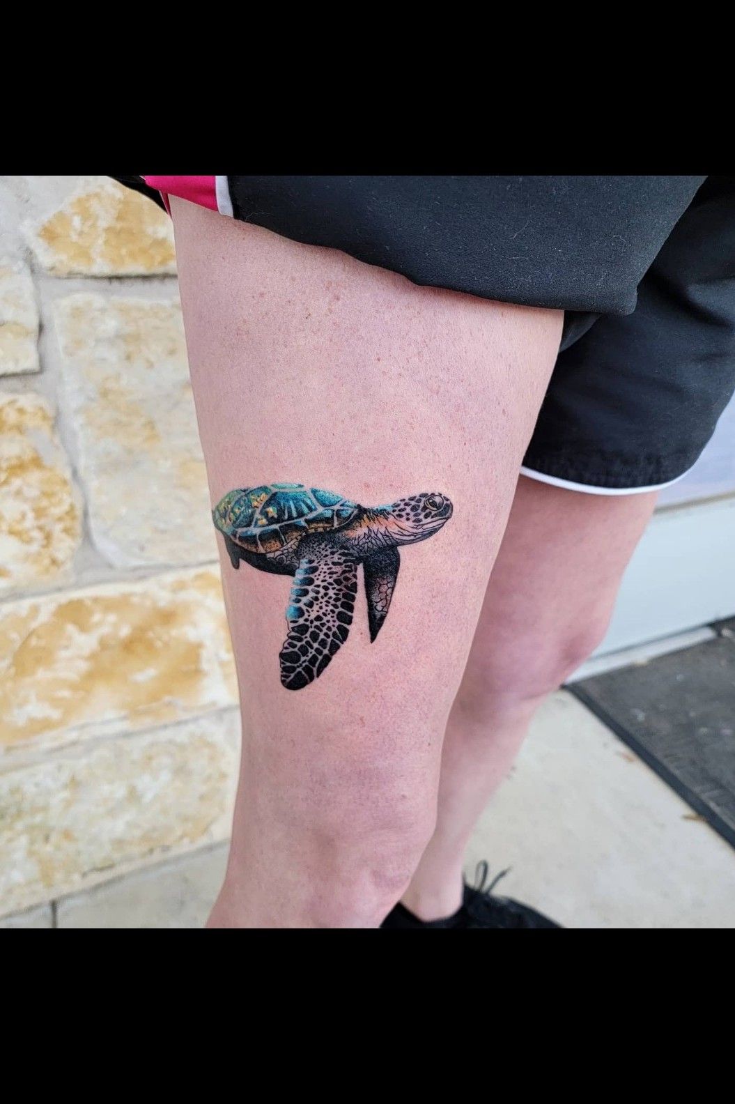 Top 81 Best Small Turtle Tattoo Ideas  2021 Inspiration Guide