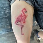 Flamingo with paint splatter 