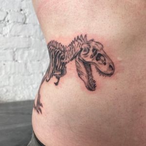 Single needle T-Rex skeleton, a lot of wrap on this one 