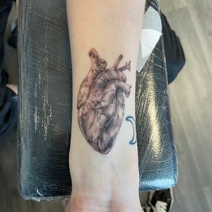 Single needle Anatomical Heart 