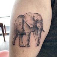 Walking Elephant