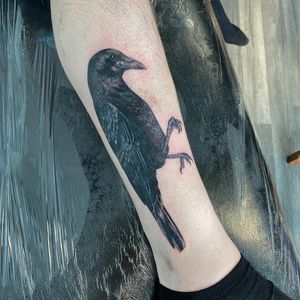 Crow covering up tribal tattoo 