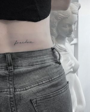 Freedom #fineline #singleneedle #inked #tattoodo #freedom