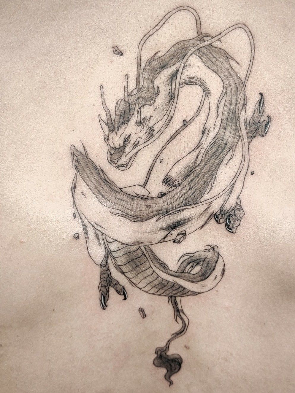 Haku tattoo by Mike Randazzo  Post 27727