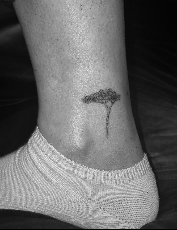 Acacia tree tattoo - Bronctattooaus.com