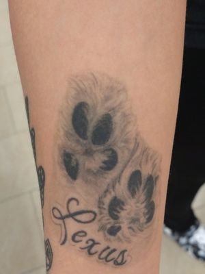 Healed paw prints 🐾 Done by Jay Jersey!!!