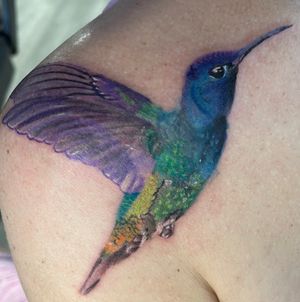 Cover up with humming bird 