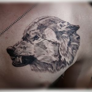 Tattoo uploaded by • Wolf portrait! • Tattoodo Tattoo uploaded by • Wolf portrait! • Tattoodo