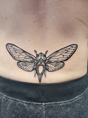Cicada tattoo on lower back