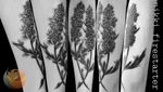 Some lavender sprigs in an ink wash style. . . . . #lavender #LavenderSprigs #LavenderTattoo #InkWash #InkWashTattoo #BlackAndGray #graywash #tattoos #BodyArt #BodyMod #modification #ink #art #QueerArtist #QueerTattooist #MnArtist #MnTattoo #VisualArt #TattooArt #TattooDesign #TheTattooedLady #TattooedLadyMN #NikkiFirestarter #FirestarterTattoos #firestarter #MinnesotaTattoo