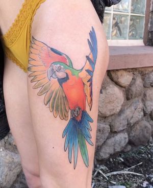 Macaw for Sophie ©EmilyHalber2021
