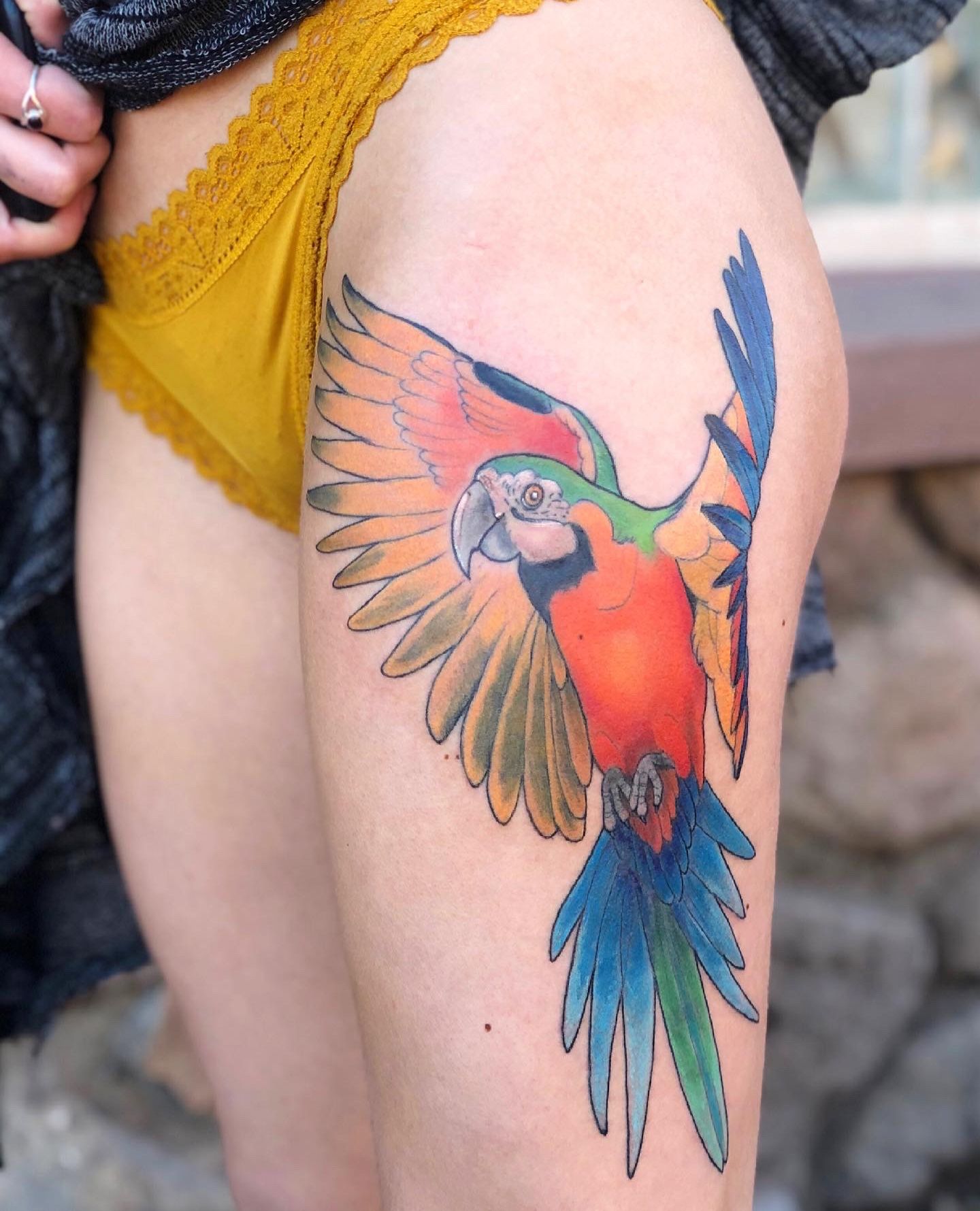 Tattoo uploaded by Liz Venom • #macaw tattoo bt #lizvenom #bird #tropical # macaws #parot #realism #healed #bright #feminine #girly #women #beautiful  #best #ink #inked #inkedgirls #legsleeve #sleeve #tropics #colour #color •  Tattoodo
