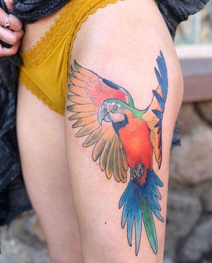Macaw for Sophie! ©EmilyHalber2021