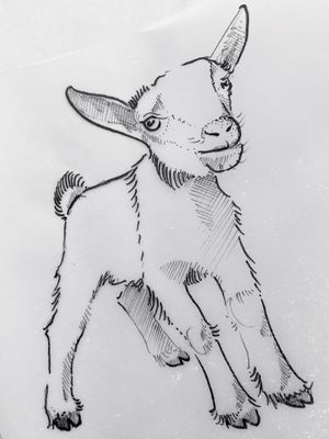 Baby goats are the cutest! Find me on instagram under the same name & let’s draw! DM for bookings