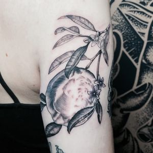 botanical tattoo by Leo Branco 🍋