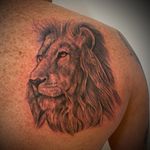 Lion for Brad 