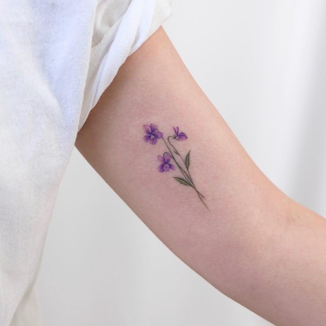 Medium piece of African violets and an olive branch Thanks Erin nessaaa  on Instagram   Violet tattoo Violet flower tattoos Half  sleeve tattoo