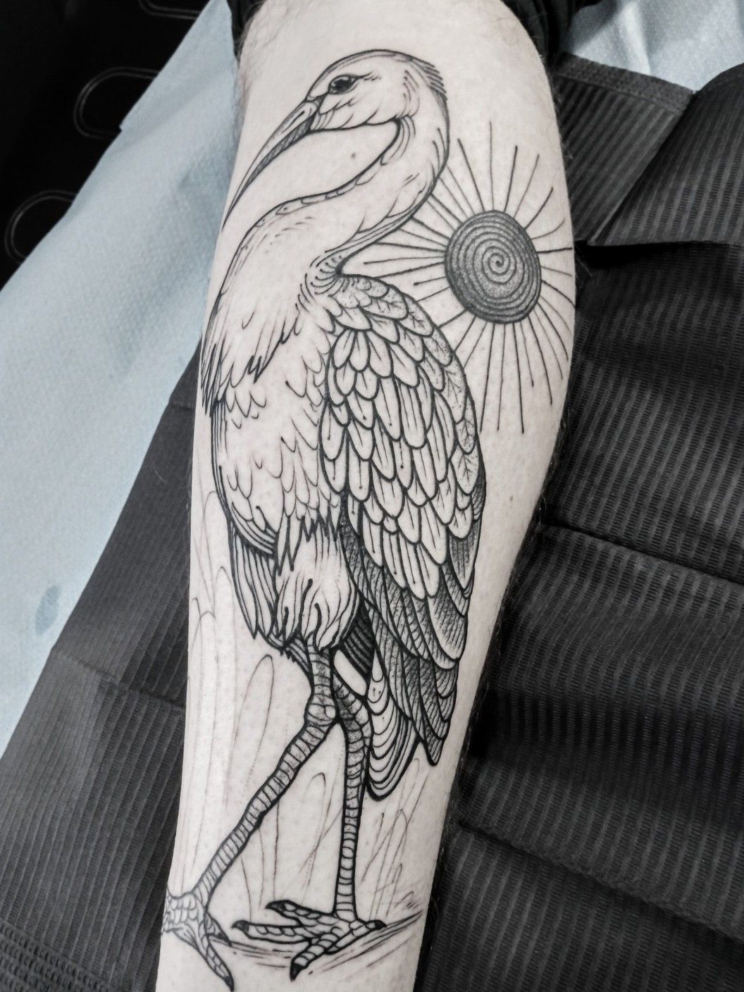 Badass stork tattoos, just as good as an eagle 🦅 #uktattooartist #ta... |  TikTok