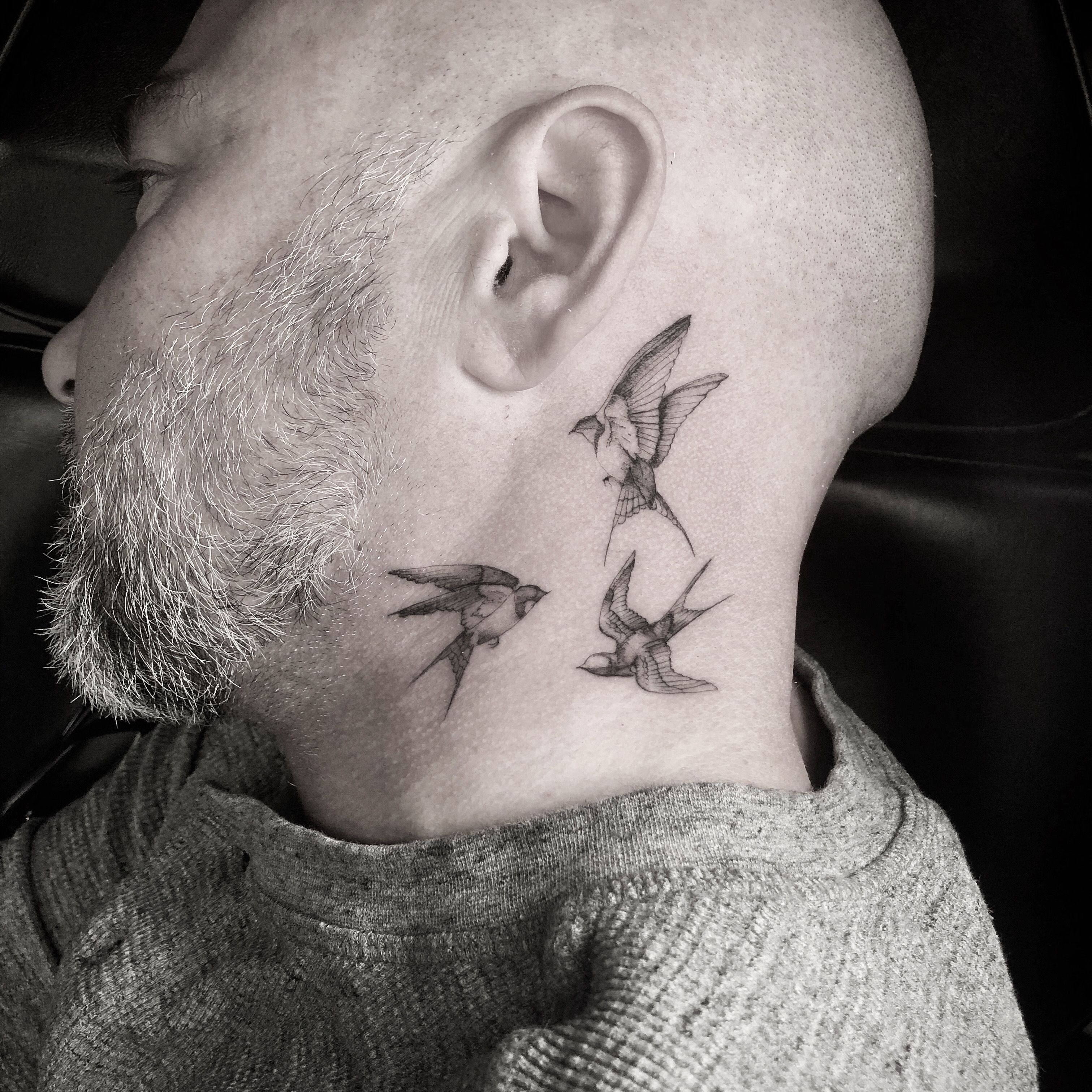 Swallow Tattoos - Tattoo Insider | Swallow tattoo, Traditional swallow  tattoo, Swallow tattoo design