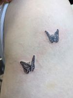 Delicate butterflies