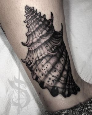 Spiked conch tattoo