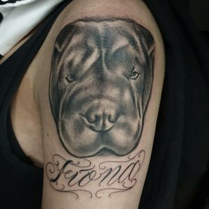 Dog tattoo