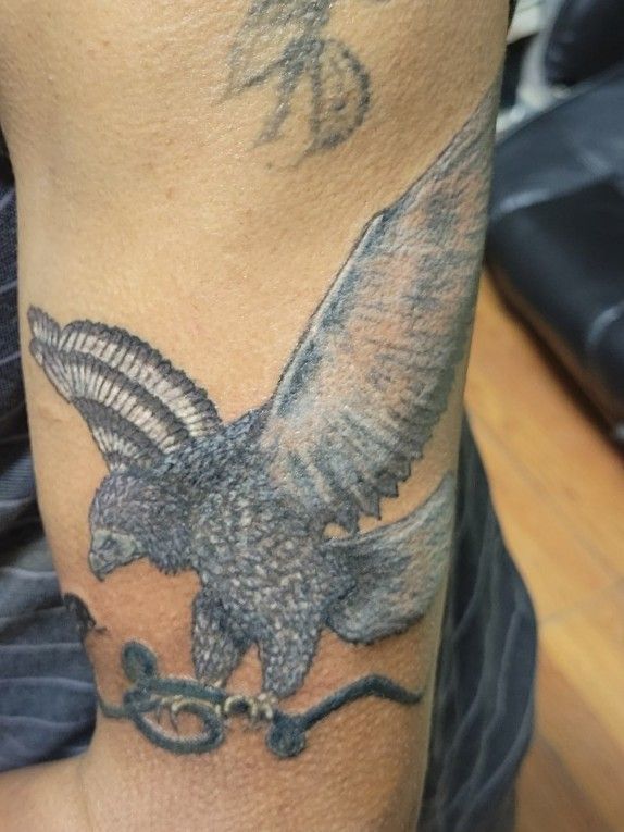 Philippine eagle tattoo  Tattoos Animal sleeve tattoo Eagle tattoo