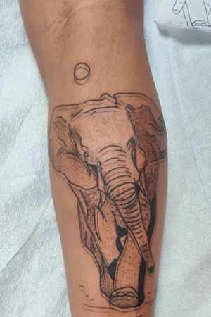 Double line elephant tattoo 