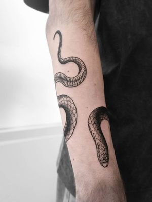 Snake wrapping around the arm