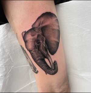 Get a stunning blackwork illustrative elephant tattoo on your forearm by the talented artist Miss Vampira.