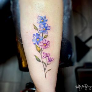 Dainty and colorful forget me not flowers. 