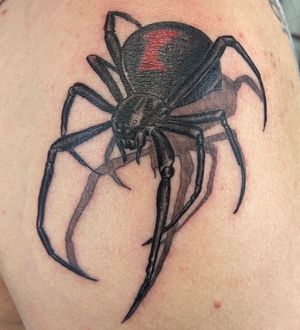 Black widow spider 🕷