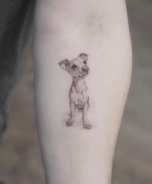 Pup by Evgenii Andriu.