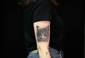 beloved one #hktattoo #hktattooshop #realistictattoo #portraittattoo #hkigers #blackandgreytattoo #inkedboys #inkedgirls #hk #animalstattoo #tattoo #cat #cattattoo