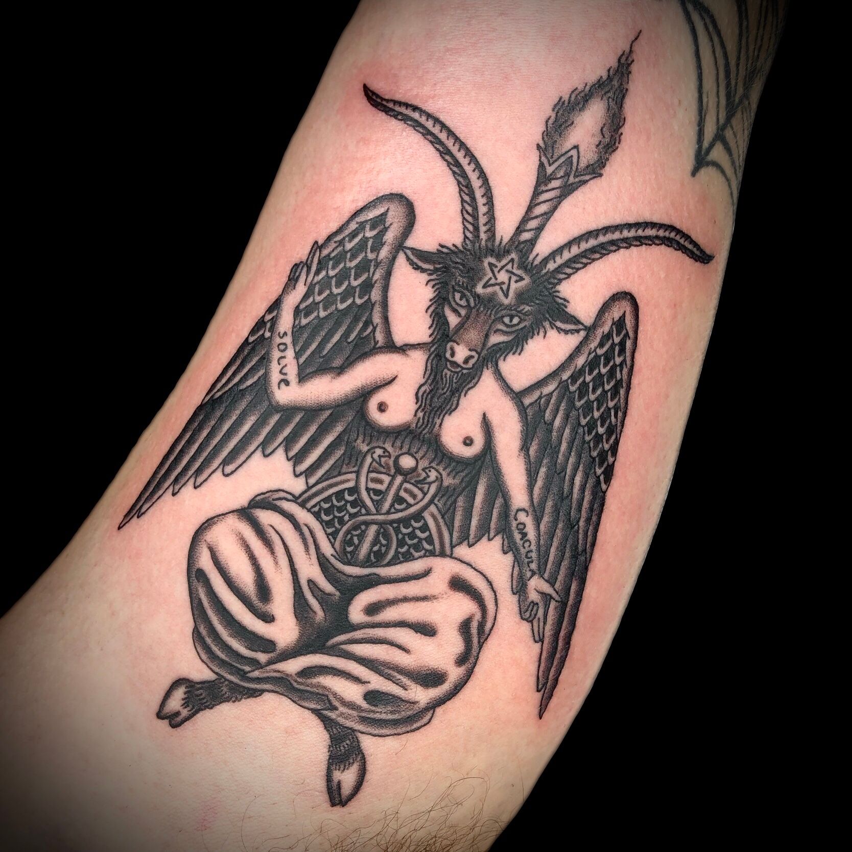 baby baphomet tattoo | Gothic tattoo, Tattoos, Cute matching tattoos