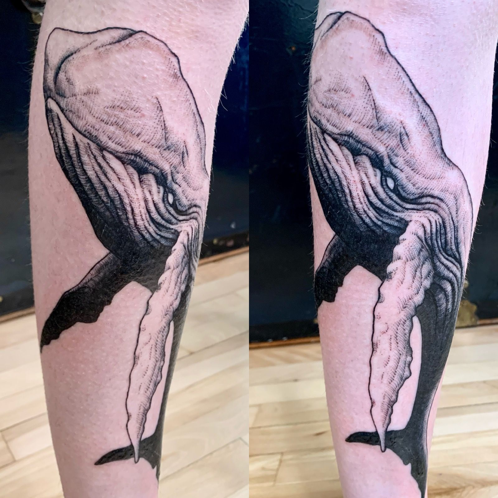 Update 71+ beluga whale tattoo - in.eteachers